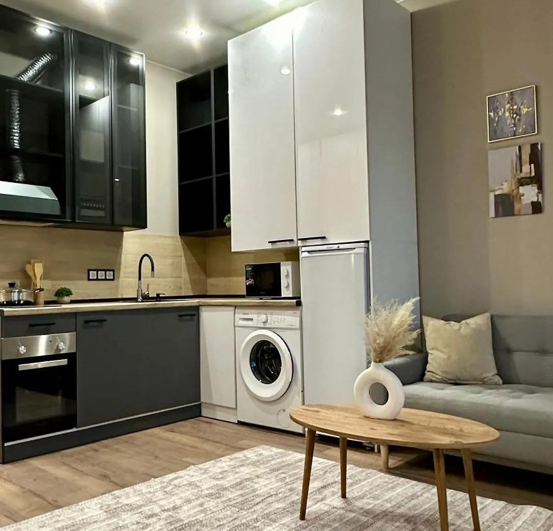 4 Seasons Black Almaty Apartment