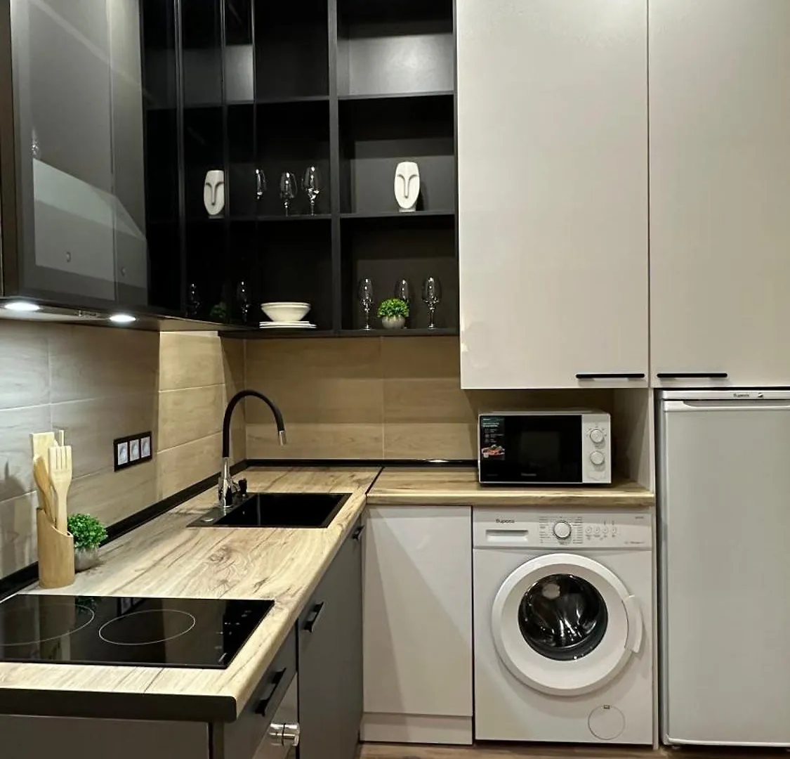 4 Seasons Black Almaty Apartment